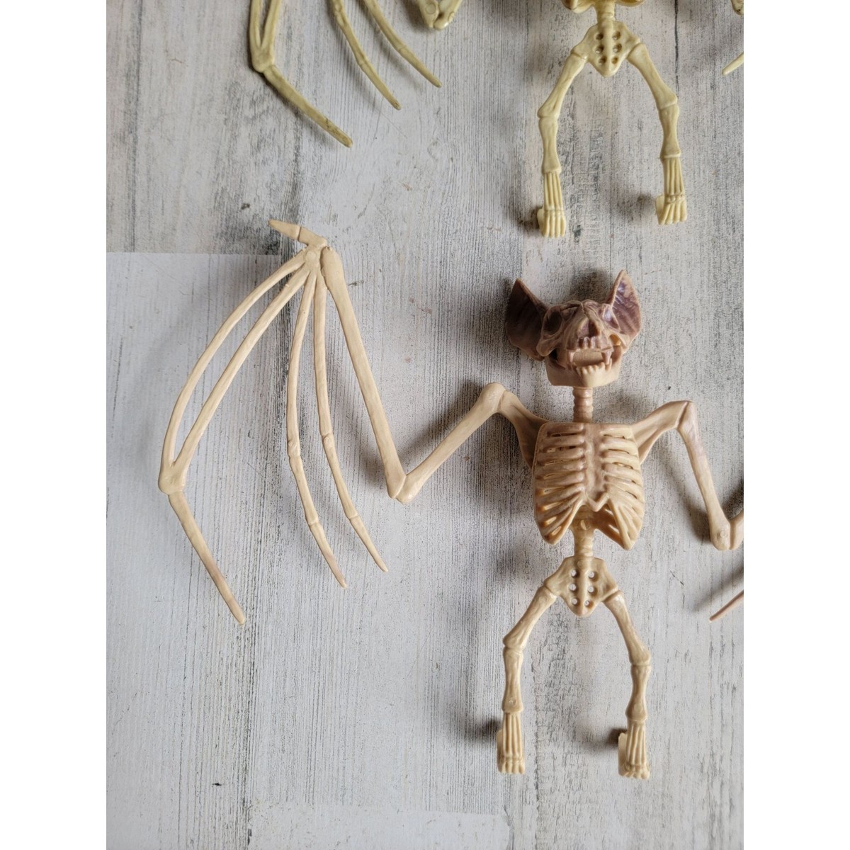 Greenbrier Halloween skeleton hanging bat set pop decor | eBay