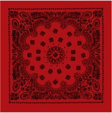 Rothco 4349 X-LARGE 27" Jumbo Trainmen Paisley Cotton Sport Biker Bandana