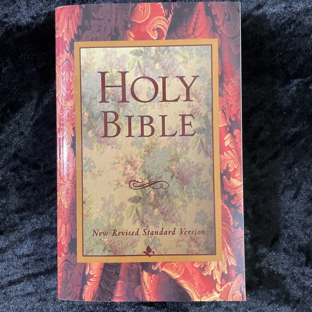 洋書 HOLY BIBLE NEW REVISED STANDARD VERSION 51ZLv9iCq9L._UF1000,1000_QL80_.jpg
