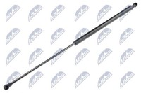 NTY Gasfeder, Heckscheibe AE-PE-012 FüR Peugeot