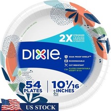 Strong Disposable Paper Plates 10 Inch 54 Count Soak Proof Microwave Safe New