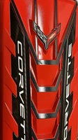 2020/26 CORVETTE C8 ENGINE COVER TORCH RED CARBON FIBER RAILS NEW OEM !! (For: More than one vehicle)