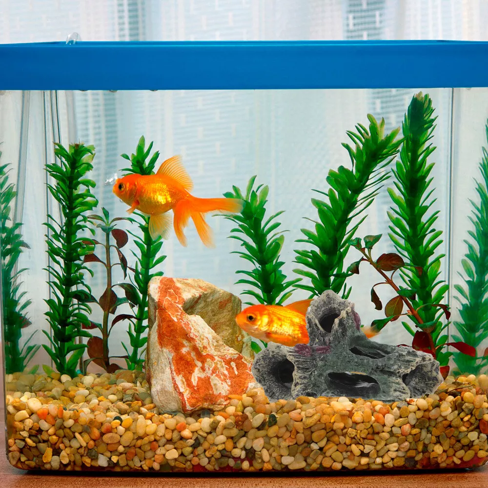 Fish tank sale accessories near me
