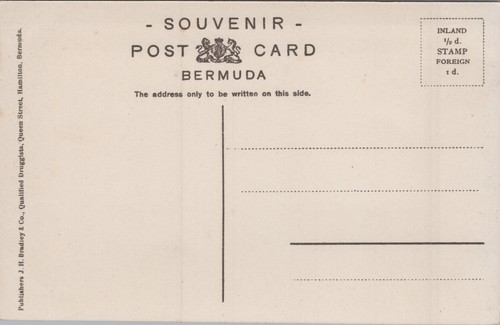 Postal de colección Bermuda Park at Clarence Hill C279 - Imagen 2 de 2