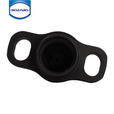 Pump Element Plunger 2418455565 2455-565 for Ford Cargo 4031