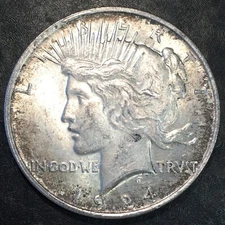 1924 Peace Silver Dollar - High Quality Scans #Q492