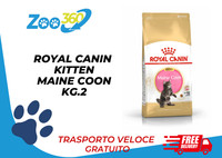 Royal Canin Kitten Maine Coon KG.2 + Trasporto Gratis