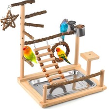 Bird Playground Natural Wooden Perches Ladder Swing Stainless Cups