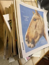 The New York Times Sections Food LOT 2026 - 2025 - 2024 - 2023 Horses See Photos