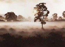 JOHN WATERHOUSE 'MORNING MIST (CHURCH COUPLE)'  LTD EDT.GICLEE PRINT 60% OFF  