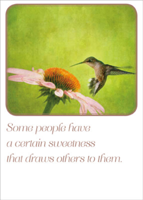 RSVP Hummingbird  Orange and Pink Flower Birthday Card