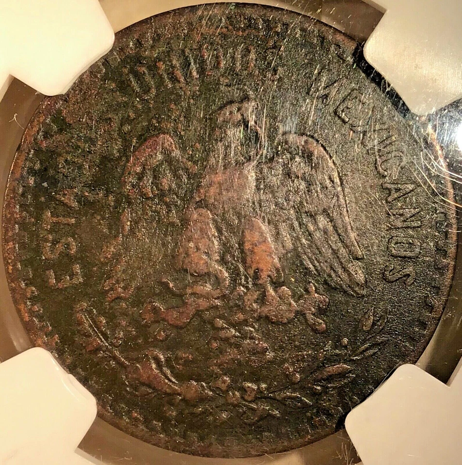 1918 Mexico 5 centavos NGC XF Details Bronze 28mm KM 422 (C000227) - Image 2 of 4