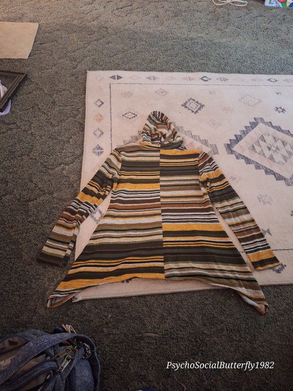 Discreet fairylore multi-colored hooded sweatshirt