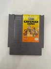 Caveman Games - Vintage NES Cartridge Nintendo - TM1