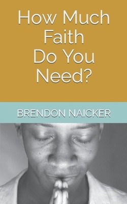 How Much Faith Do You Need? by Yanshan Chen Paperback Book
