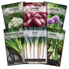 - Onion Family Seed Collection for Planting - 6 Varieties of Chives and Onion...