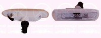 Indikatorlampe - Rauchgrau - Rechts - Passt Zu BMW 3Er Serie (E46) 1997-2006