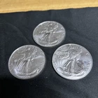 Lot of (3) 2024 1oz. BU American Silver Eagle Coins (Milk Spots)