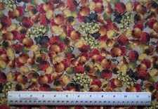 David Textiles Afternoon Delight fruit apples By the 1/4 yard cotton fabric