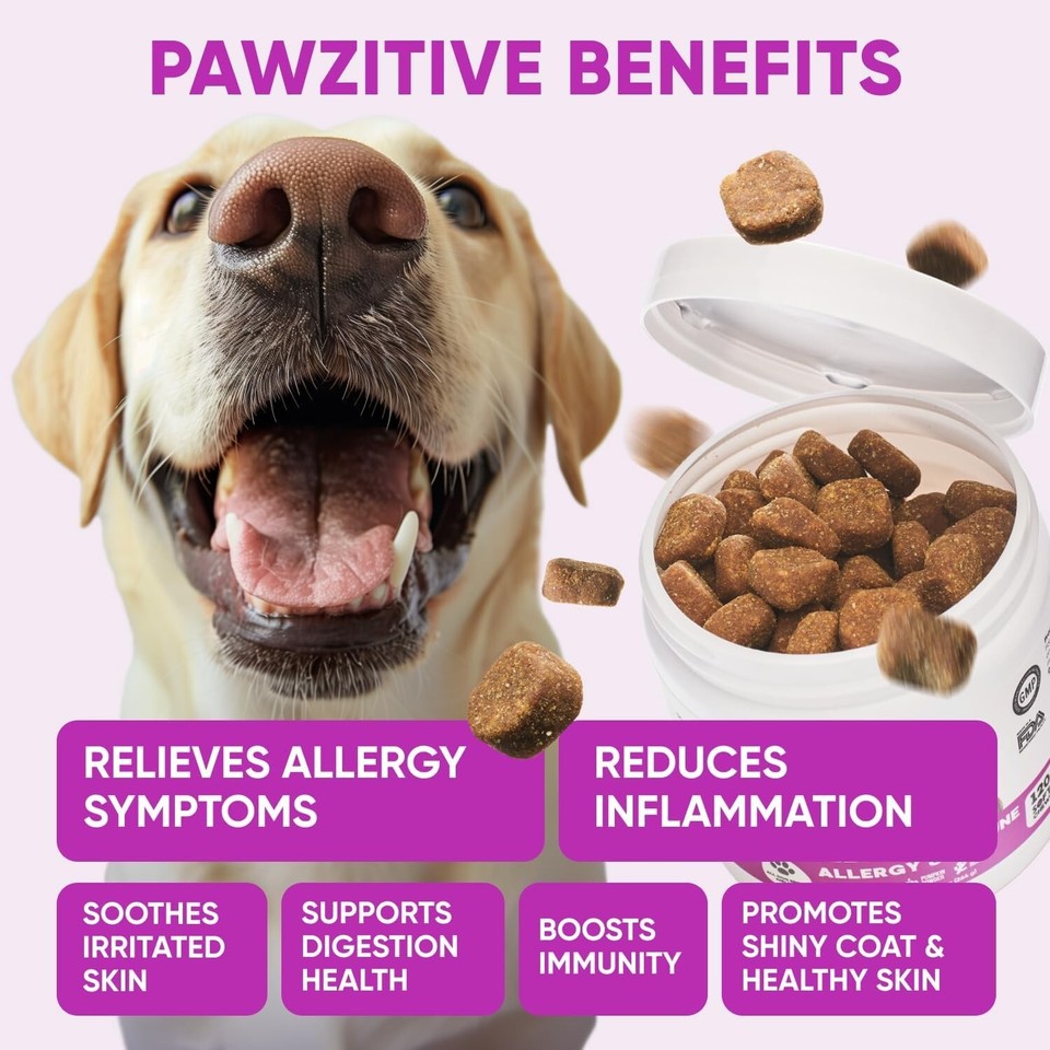 Dog Allergy Relief Chews for Itchy Skin Shedding Licking Paws Hot