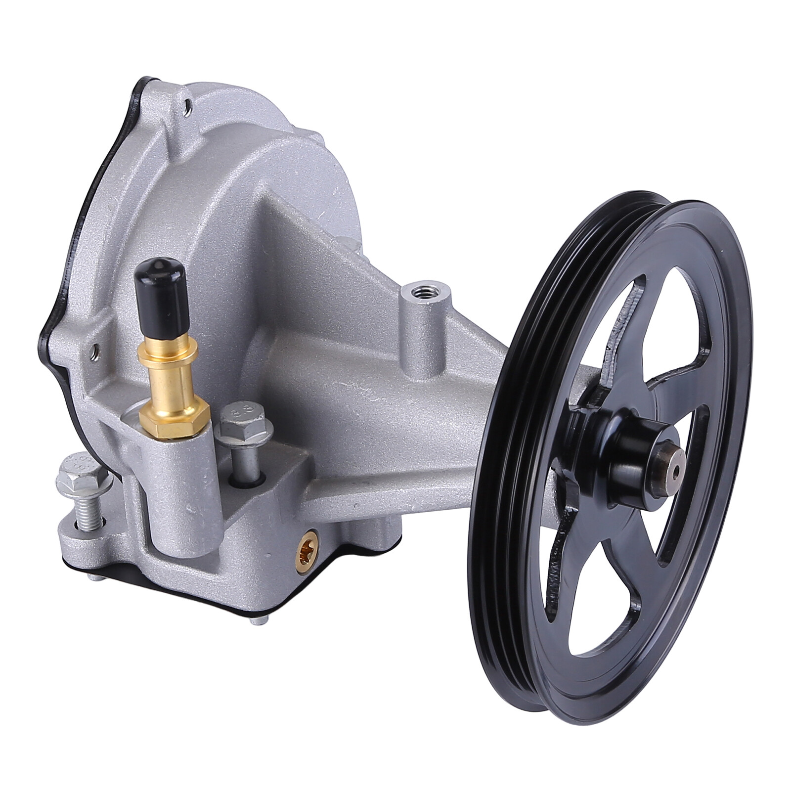 ACDelco GM 12696313 OEM Vacuum Pump Assembly for sale online | eBay 