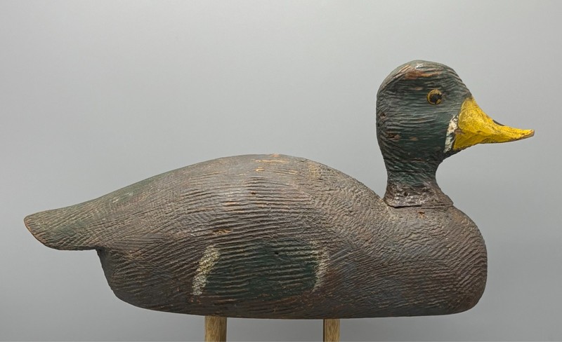 MALLARD DRAKE VINTAGE DUCK DECOY ATT  TO FIRST NATION, MANITOULIN ISLAND, CANADA