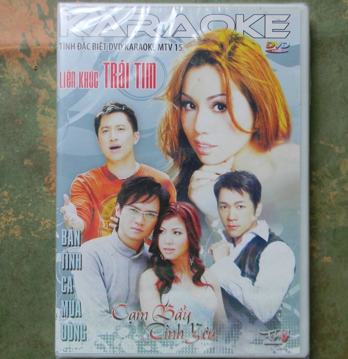 Vietnamese Tinh Dac Biet ~ KARAOKE DVD ~ Lien Khuc Trai Tim Vol