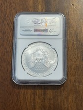 American Eagle MS 69 Graded 2001 Silver Bullion Coins for sale | eBay