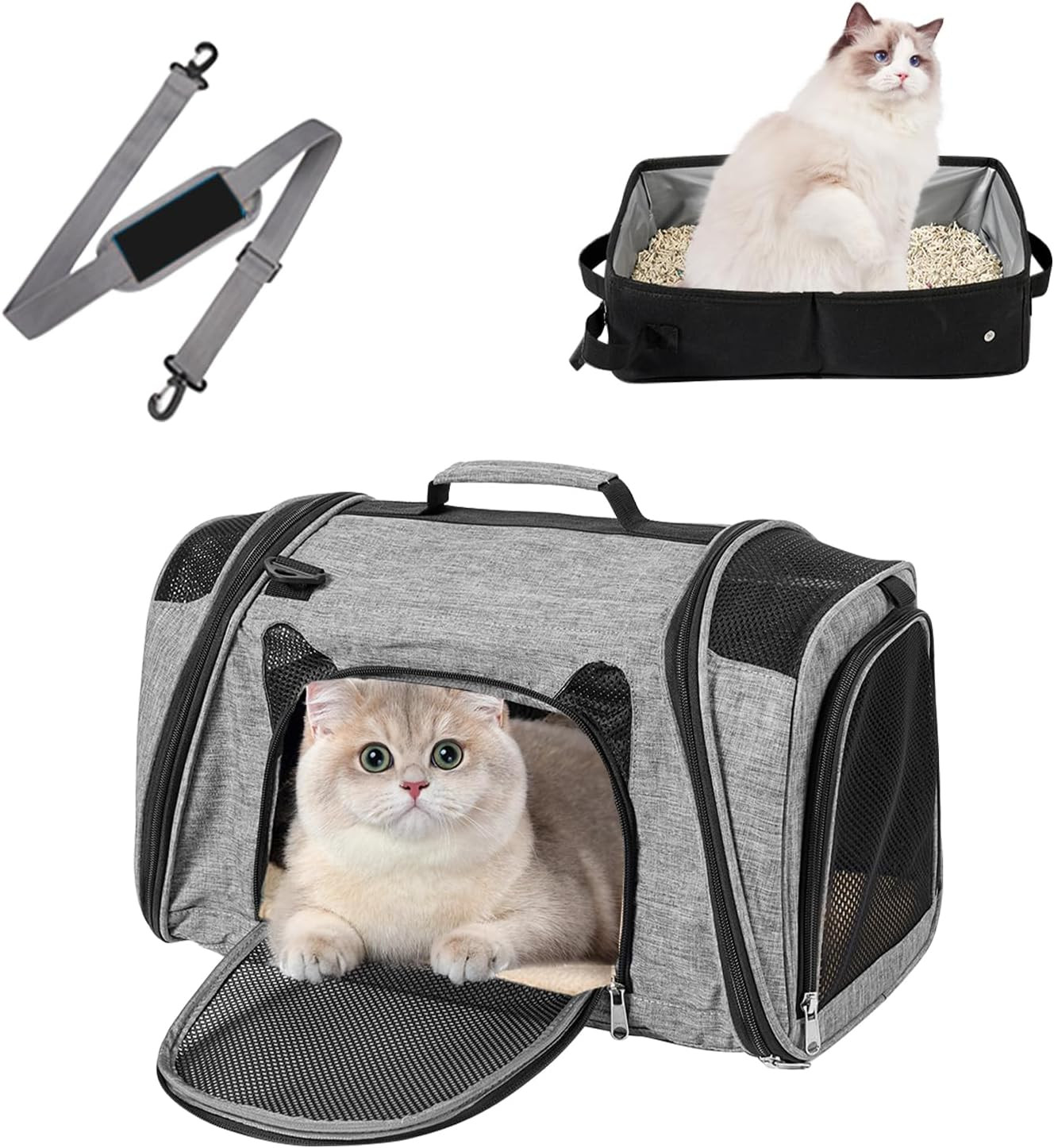 Trasportino per Gatti Pieghevole Con Lettiera, Borsa per Il Trasporto Con Lettie
