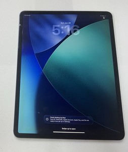 iPad Pro 4th Generation 256GB | eBay
