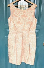 Eliza J Dress Womens 14 Peach Gold Jacquard Lace Pleated Soft Girl Fairy RP$212