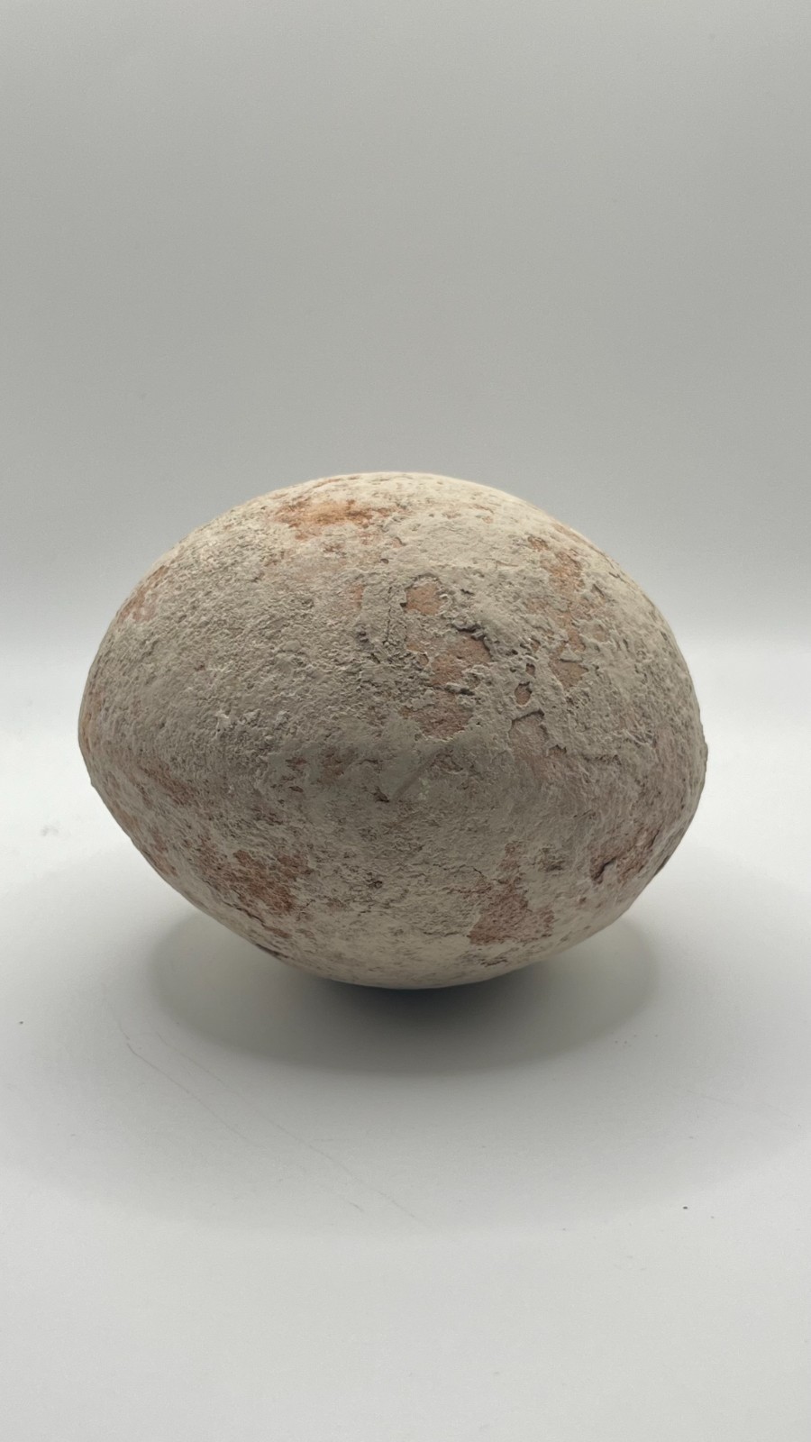 Ancient Holy Land Artifact – Iron Age I Oil Jar 1200–1000 BC Biblical Vessel