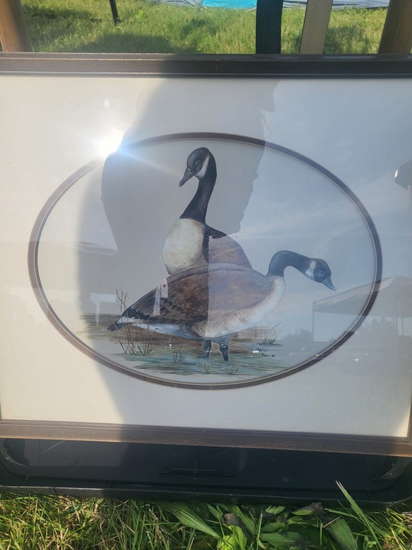 Marion Napier Geese Bird Print - Matted & Framed Landscape Animals Nature