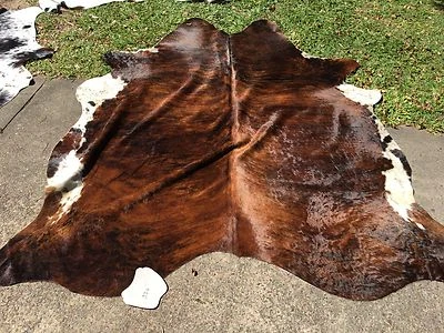 Bull Hide Rugs Ideas