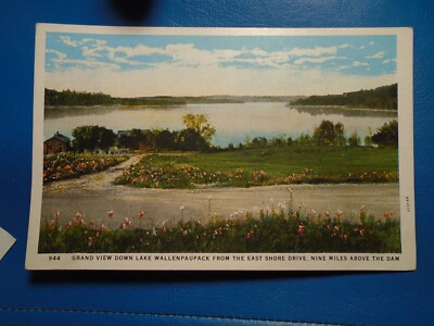 Antique Postcard ''Grand View Down Lake Wallenpaupack From East Shore Drive'' EX H