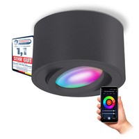 CELI-1N Aufbauspot Flach Schwenkbar Anthrazit Mit Wlan Smart Rgb Led Modul 230V