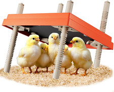 Brooder Box for Chicks with 10" X 10" Brooder Plate, Adjustable Height, Anti-Per