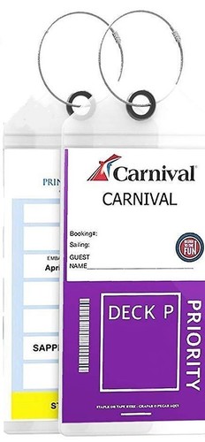 2 Cruise Ship Luggage Tag Holders 