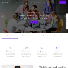 Startup Website Design with Free VPS Web Hosting and Installation