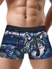 Wild Wolf Graphic - 3D Print Boxer Briefs