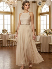 Candlottie Petite PL Beige Lace & Tulle Sleeveless Maxi Dress