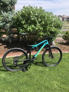 specialized epic custom