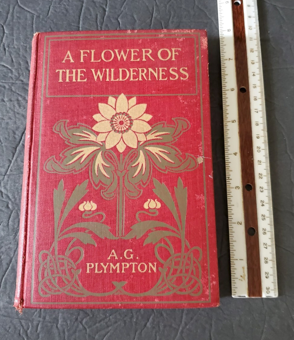 Flower of the Wilderness Book by A.G. Plympton, Copyright 1899, University Press