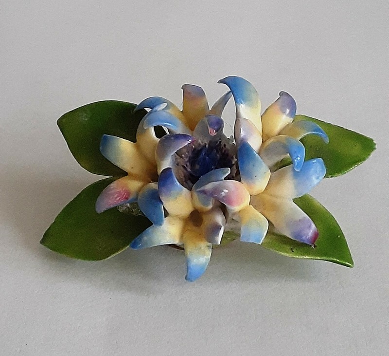Cara China English Porcelain Floral Brooch