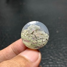 Scenic Moss Agate Cabochon 20x20x5.5mm High Quality 18 ct