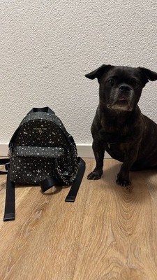 MICHAEL Michael Kors Slater Extra-Small Star Embellished Logo Convertible Backpa