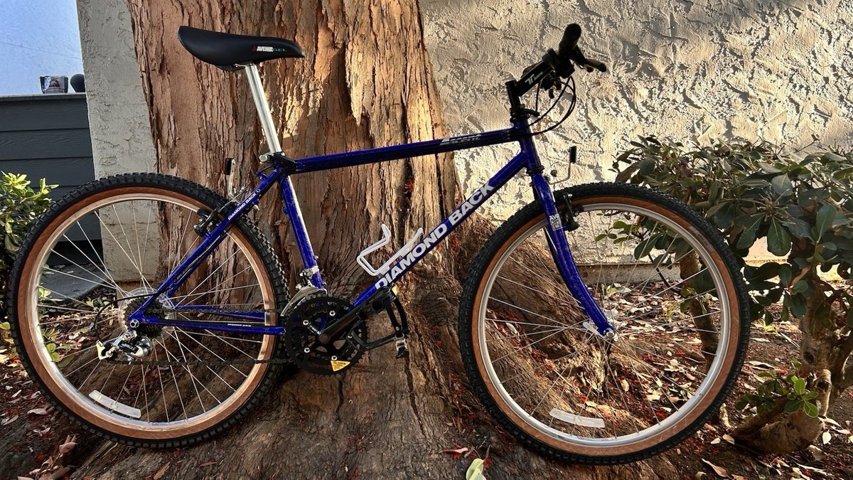 Frame 1990 Diamondback Ascent Diamondback Ascent Ex Diamondback