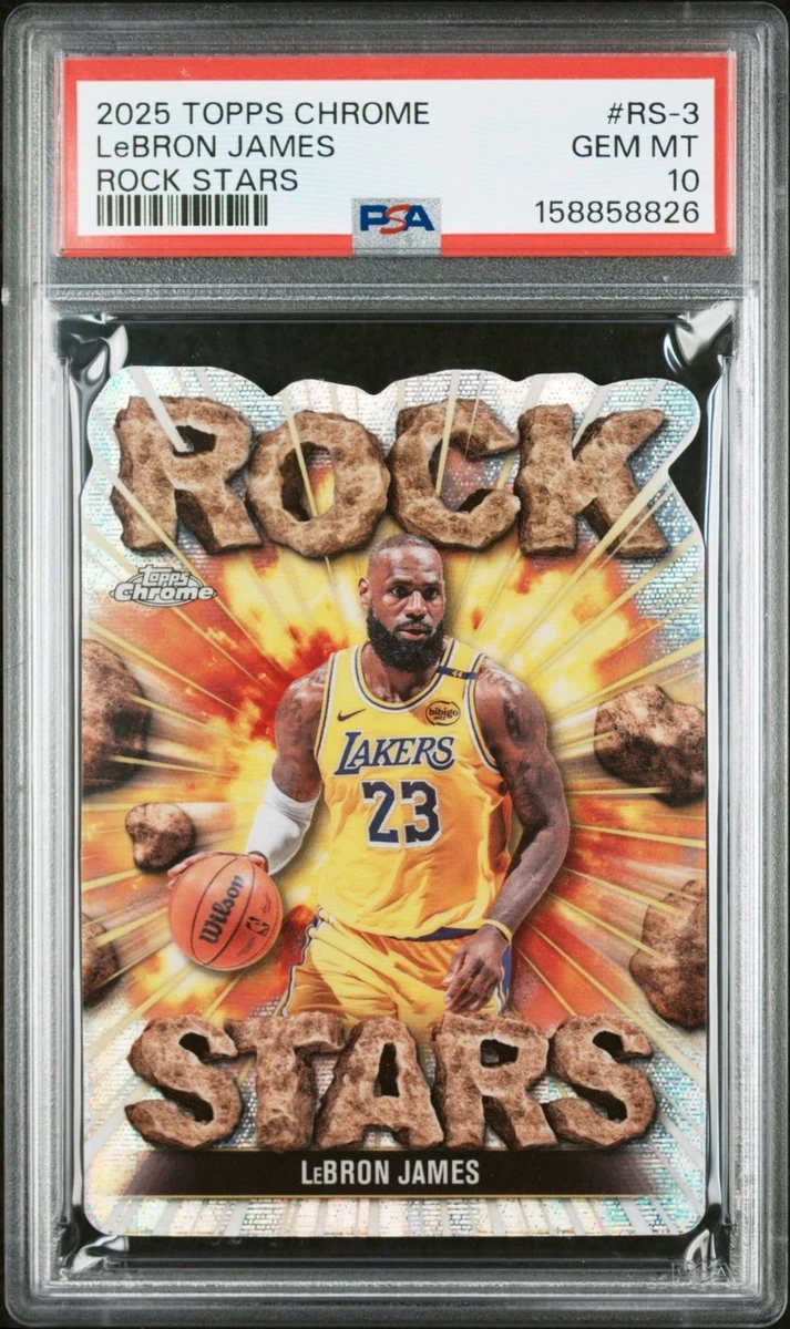 LeBron James Professional Sports Authenticator (PSA) Basketball