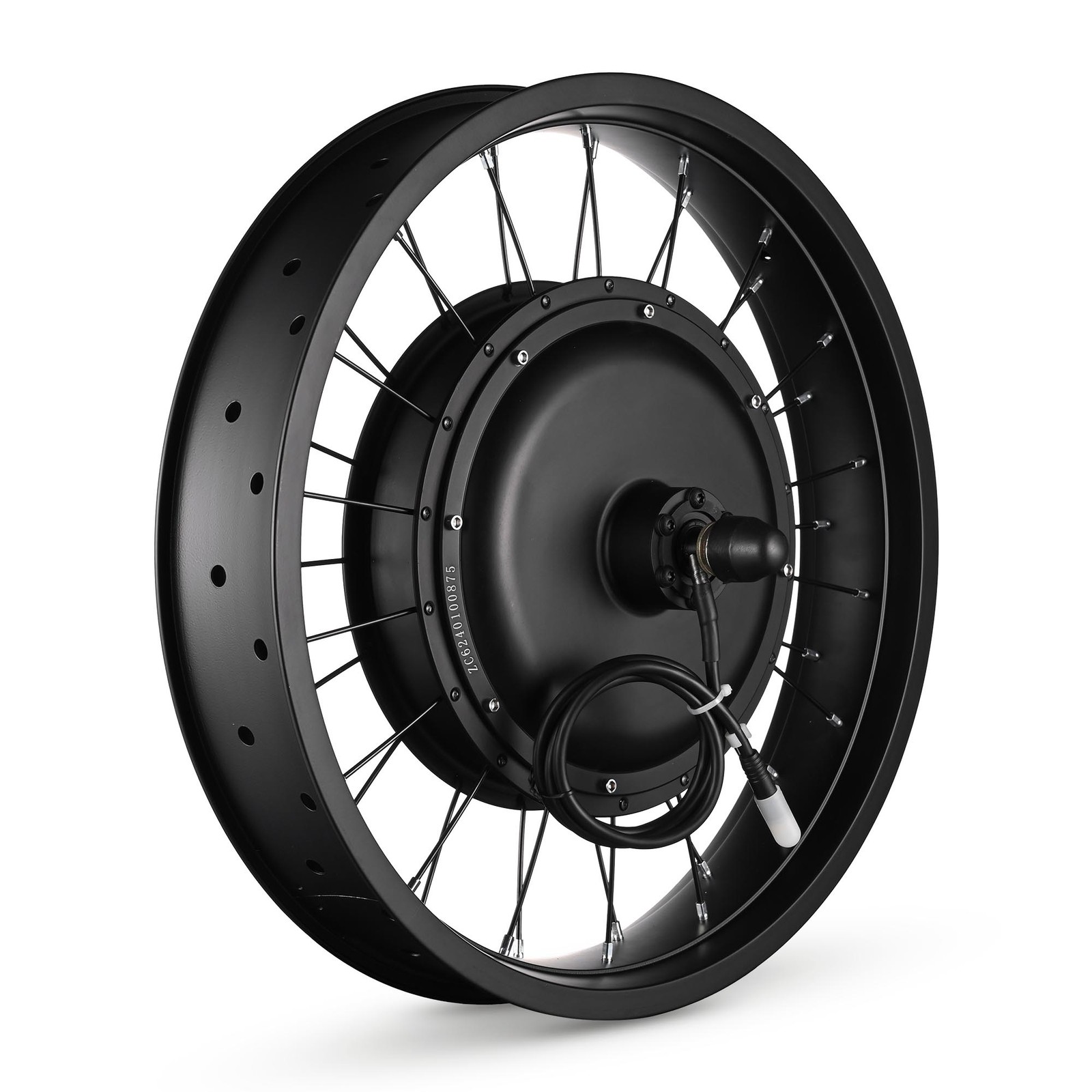 Xcceries 20"x4" Fat Tire 48V Ebike Rear Wheel Bicycle Conversion Kit LCD 1000W