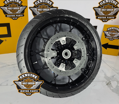 OEM 00-26 Harley 19